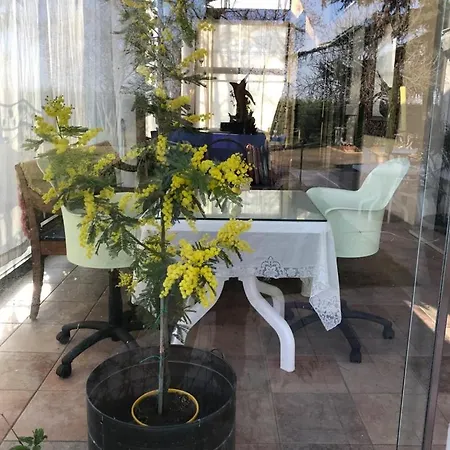 לינה וארוחת בוקר Orizzonte קאורלה